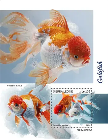 Sierra Leone 2024 Mi. Bl. 3147 bloc poissons rouges