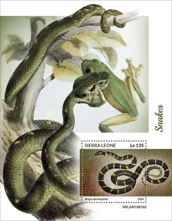 Sierra Leone 2024 Mi. Bl. 3155 bloc serpents reptiles