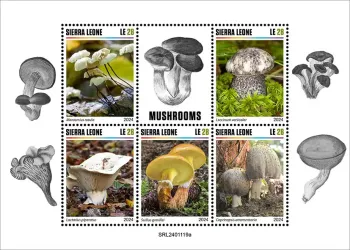 Sierra Leone 2024 Mi. 18595-18599 feuillet champignons