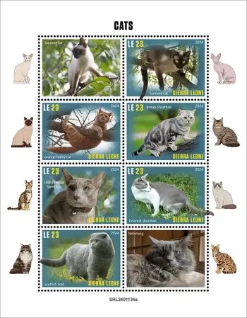 Sierra Leone 2024 Mi. 18857-18862 feuillet chats de race
