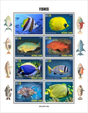 Sierra Leone 2024 Mi. 18863-18868 feuillet poissons tropicaux