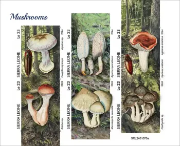 Sierra Leone 2024 Mi. 18052-18057 feuillet non dentelé champignons cèpes