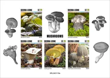 Sierra Leone 2024 Mi. 18595-18599 feuillet non dentelé champignons