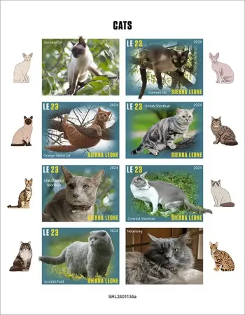 Sierra Leone 2024 Mi. 18857-18862 imperf sheet pedigree cats
